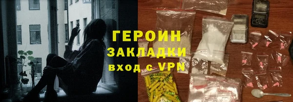 шишки Няндома