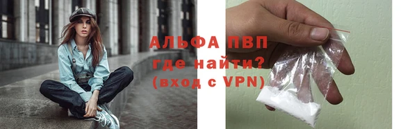 шишки Няндома