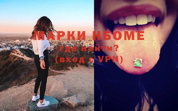 шишки Няндома