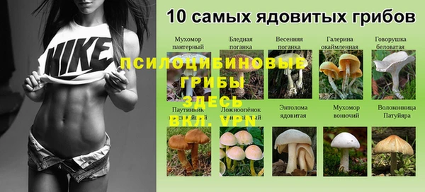 первитин Беломорск