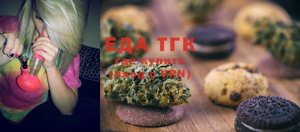 шишки Няндома